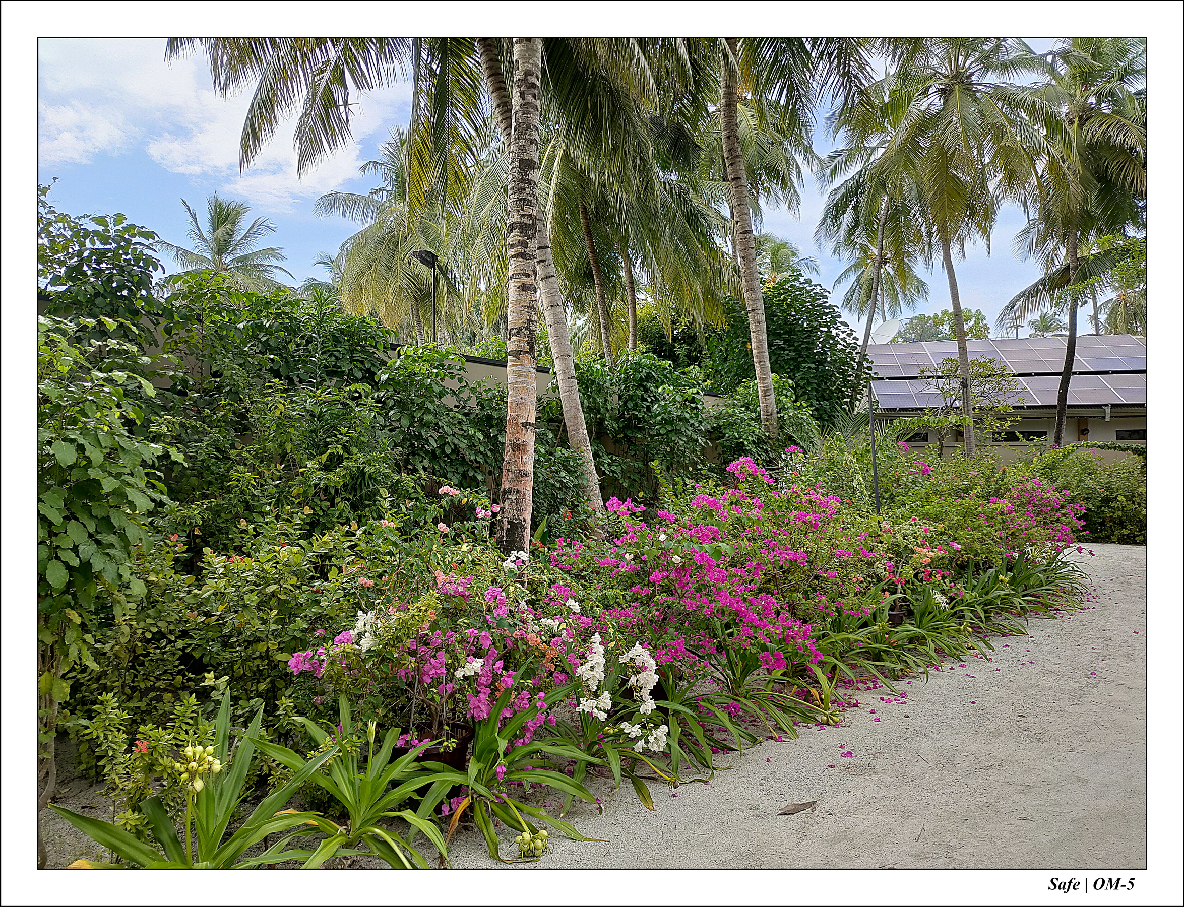 2024 - 08 -Angsana Velavaru - 05